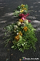 VBS_9534 - Infiorata di Villanova d'Asti 2023